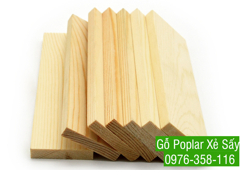 Giá Gỗ Dương (Poplar) Xẻ Sấy Tự Nhiên Rẻ Nhất TPHCM