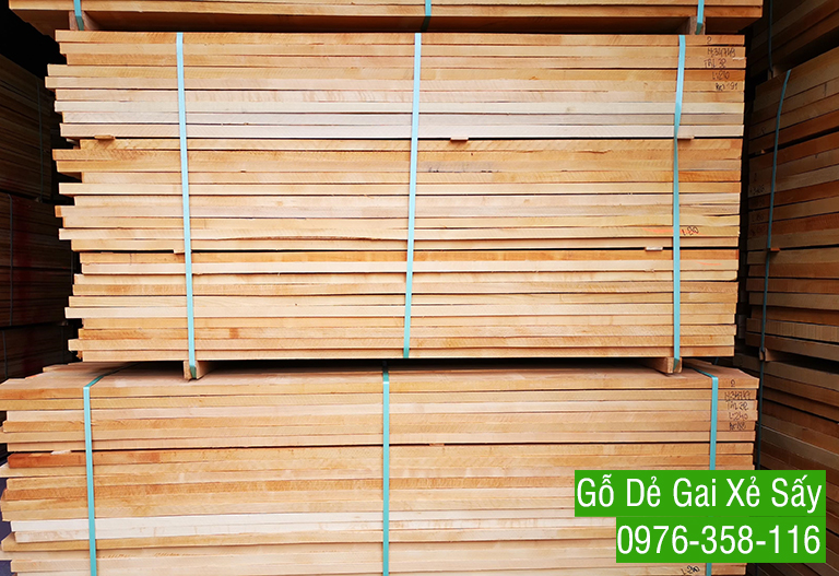 Bảng Giá Gỗ Dẻ Gai Beech Tự Nhiên Xẻ Sấy Giá Rẻ TPHCM