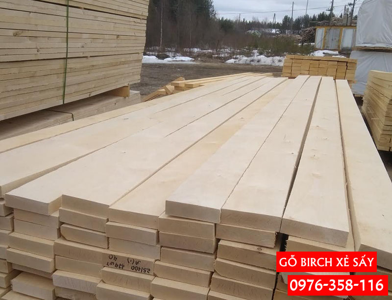 Gỗ Phong Vàng Xẻ Sấy (Gỗ Birch) Nhập Khẩu Giá Rẻ TPHCM