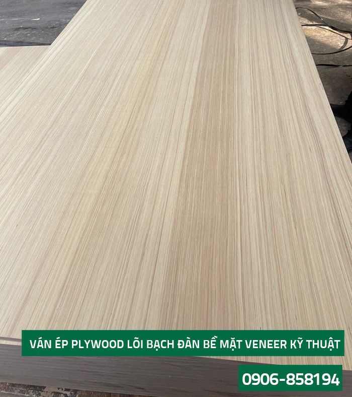 Ván ép plywood lõi bạch dương poplar